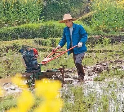 疫情防控的基本常识是什么？（疫情防控和春耕备耕两不误）